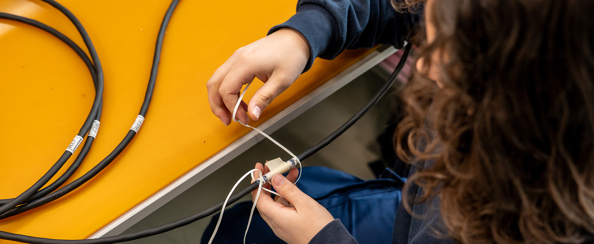 Auszubildende & Nachwuchskräfte